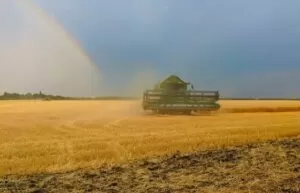 На Харківщині зібрали майже 1,5 млн тонн врожаю