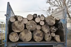 На Харківщині почали видавати безкоштовні дрова