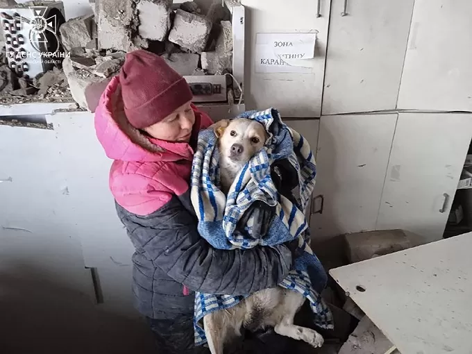 Рятувальники дістали собаку з-під завалів зруйнованої окупантами аптеки у Куп'янську