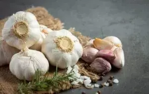 Часник посадковий