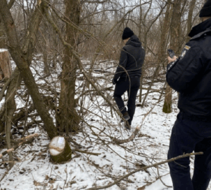 На Куп'янщині викрили зловмисника, який незаконно вирубував дерева