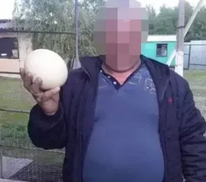 У селі на Купʼянщині викрили чергового колаборанта