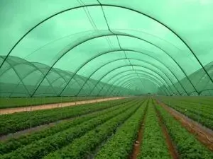 Выбираем затеняющую сетку: на что обратить внимание