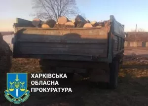 На Куп'янщині викрили чорних лісорубів