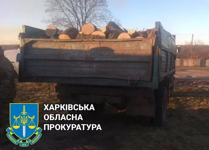 На Куп'янщині викрили чорних лісорубів