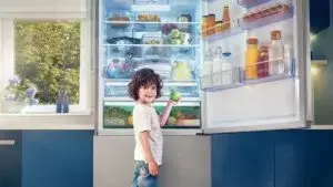 Технология NeoFrost в холодильниках Beko: как обеспечивает раздельное охлаждение
