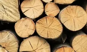 Як у 2023 році реалізувати та купити необроблену деревину (пиломатеріали) на законних підставах
