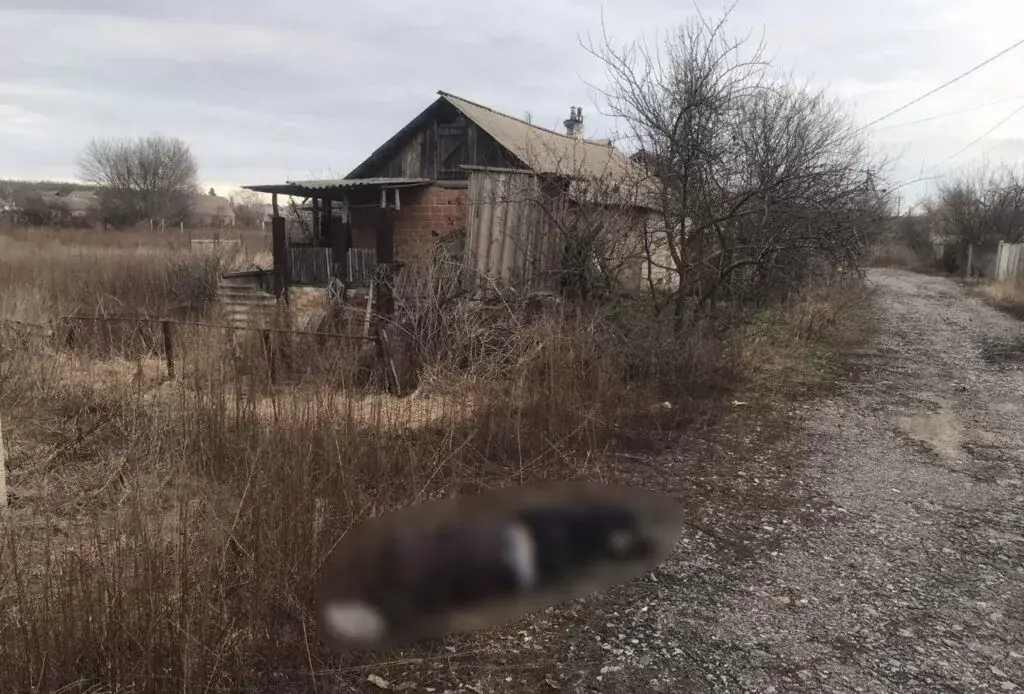 Окупанти вбили цивільного під час обстрілу Дворічної на Купʼянщині