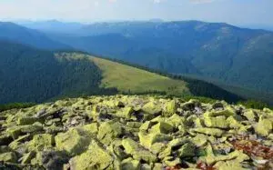 Зимові активні пригоди у Закарпатті для туристів з Полтави