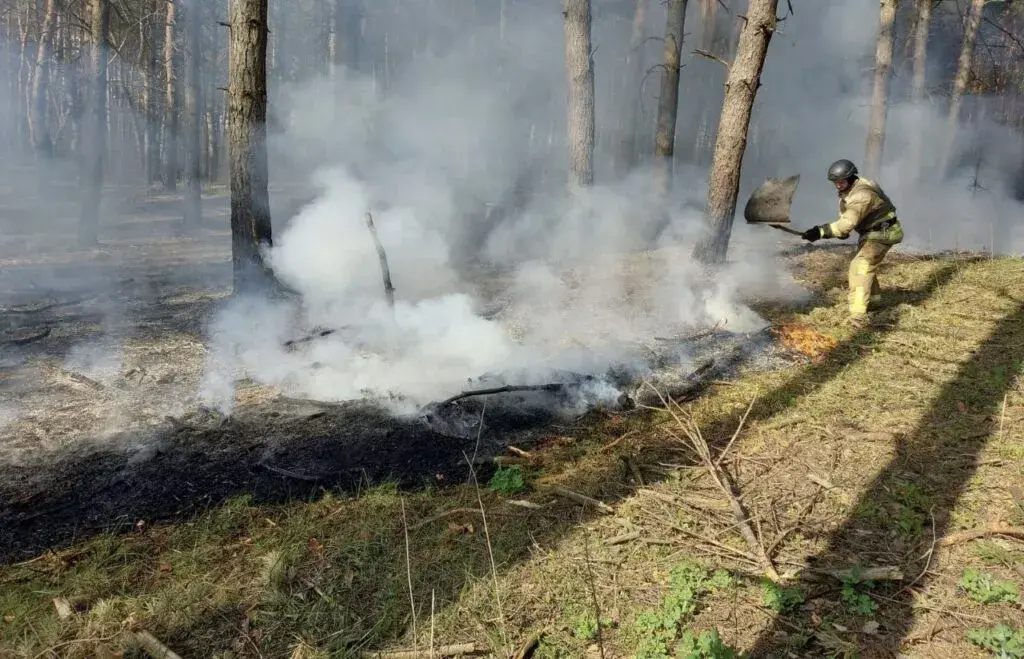 Ворожі обстріли призвели до лісової пожежі у Купʼянському районі