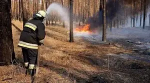 У лісництві на Куп'янщині спалахнула пожежа через росіян