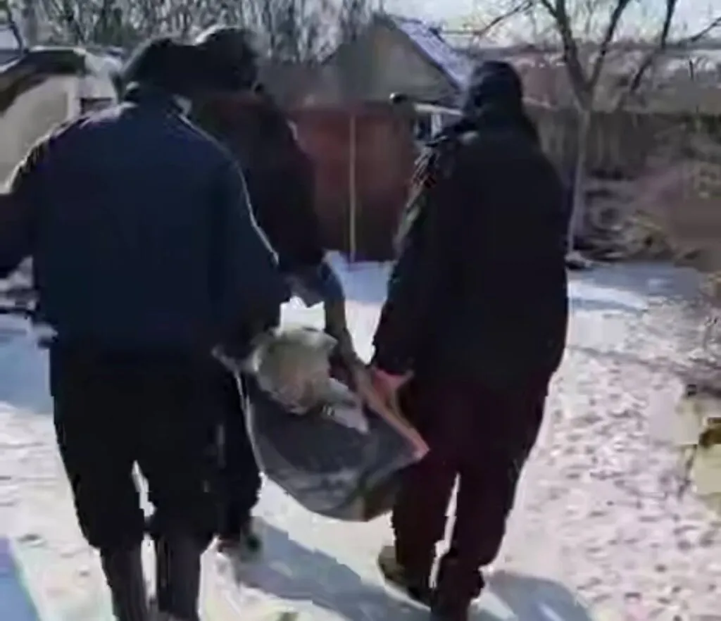 З Куп'янського району евакуювали поранену жінку