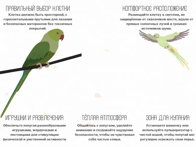 Необходимые элементы для обустройства клетки Необходимые элементы для обустройства клетки