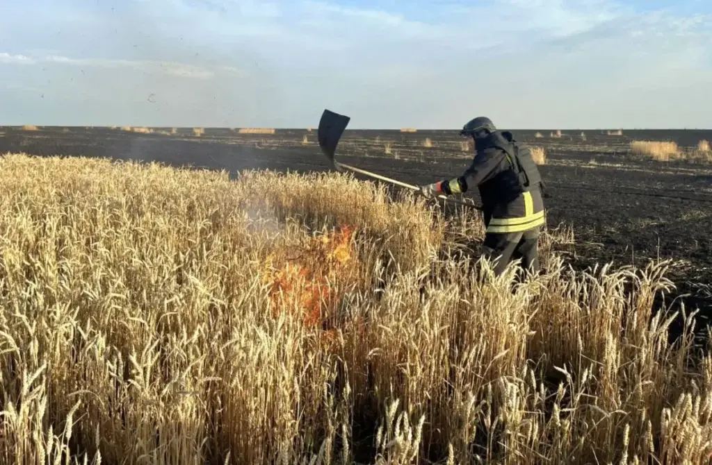 Палаюче пшеничне поле біля Шевченкового на Харківщині після російського авіаудару