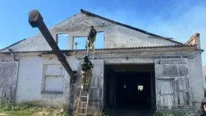 Росіяни обстріляли сільгосппідприємство на Куп’янщині