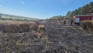 На Куп'янщині російські атаки спричинили пожежу та руйнування місцевості