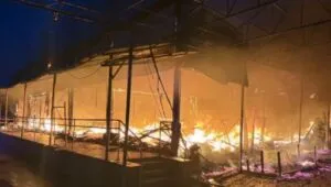 В Куп'янську знайшли мертвою 64-річну жінку, яка померла 8 вересня