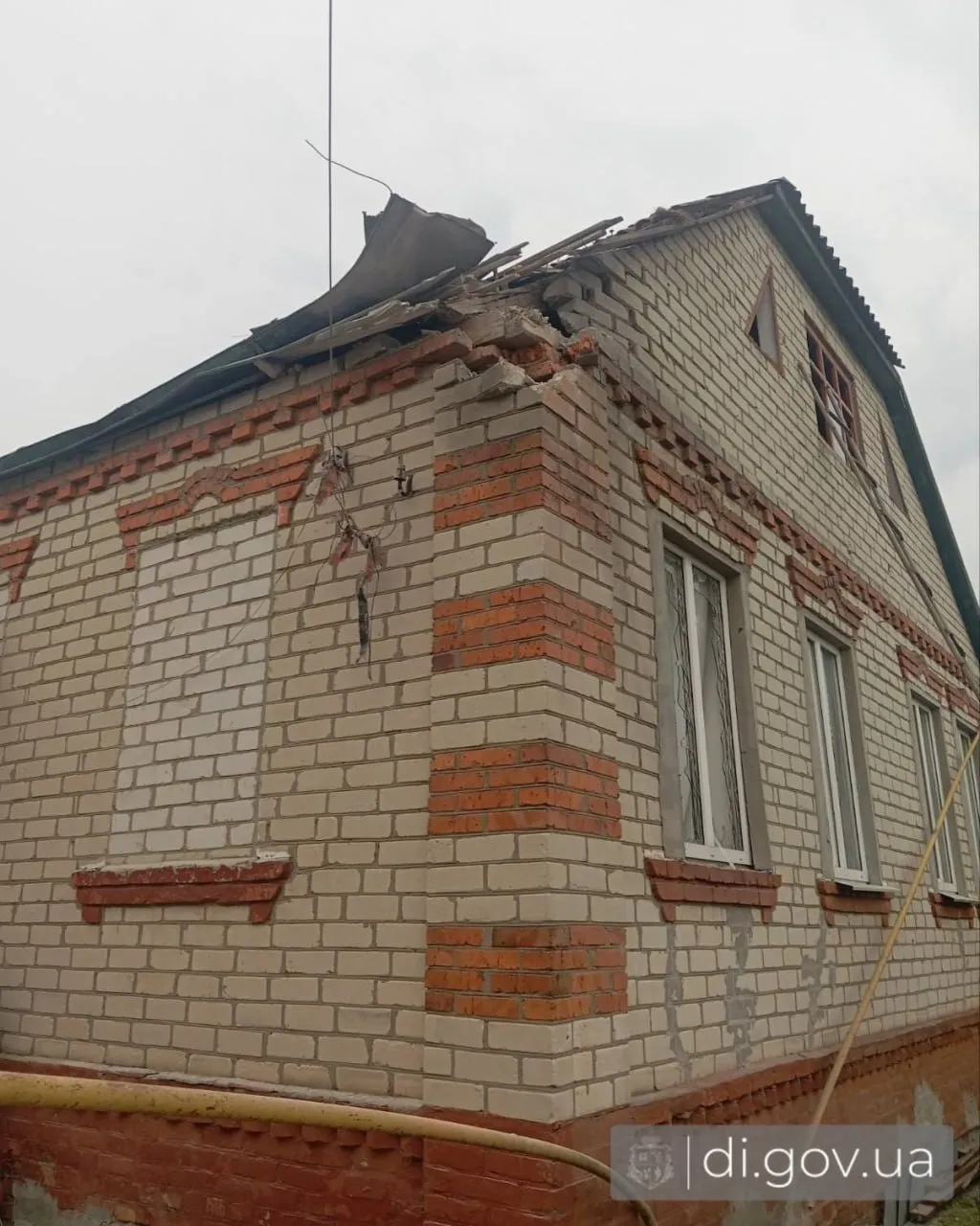 На Харківщині загинув собака, який врятував власника від вибухівки