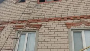 На Харківщині загинув собака, який врятував власника від вибухівки