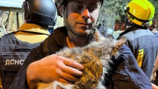 В Харкові лікують тварин, що постраждали від російського обстрілу